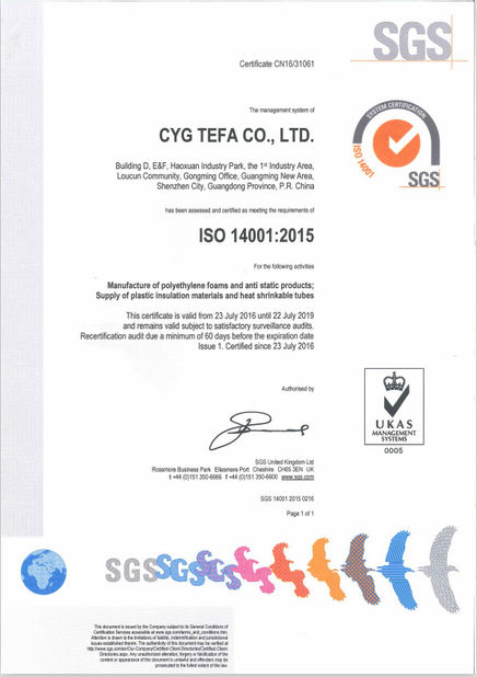 中国 Cyg Tefa Co., Ltd. 認証